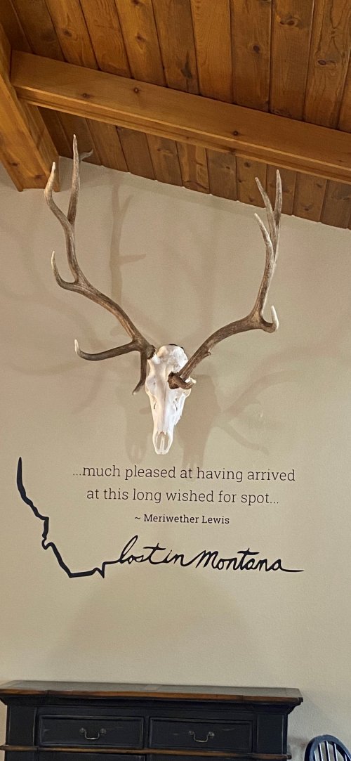 Abigails-elk-mount.jpg Abigails-elk-mount.jpg