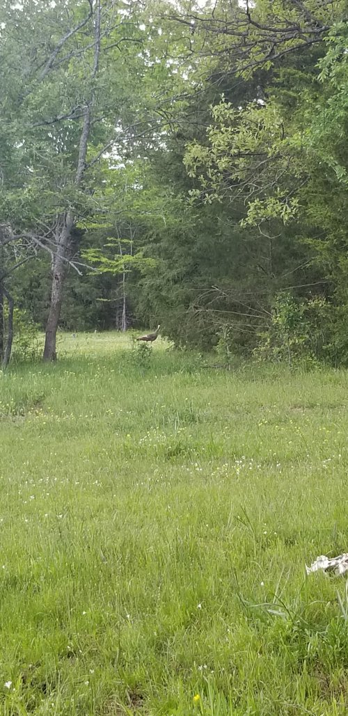 20220429_093334.jpg 20220429_093334.jpg