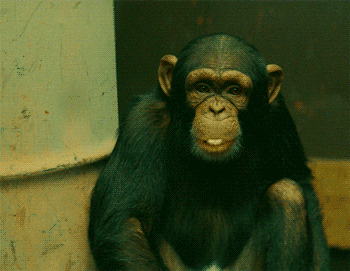 914E2080-254B-4532-89E2-1701514C5AD7.gif