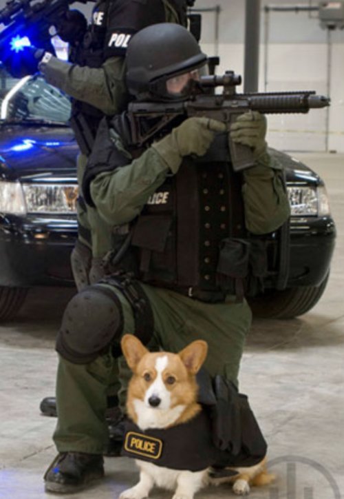 8E52077B-2760-419C-8135-459BD364C5BA.jpeg 8E52077B-2760-419C-8135-459BD364C5BA.jpeg