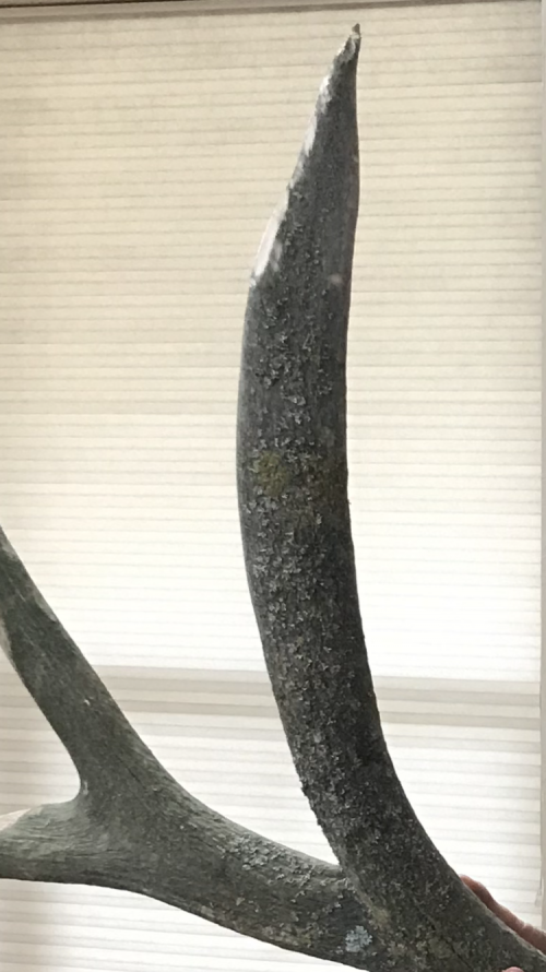 A4427263-7478-49AD-B065-D09E7E0A3DE2.png A4427263-7478-49AD-B065-D09E7E0A3DE2.png