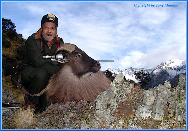 TonyMtahr10b.jpg TonyMtahr10b.jpg