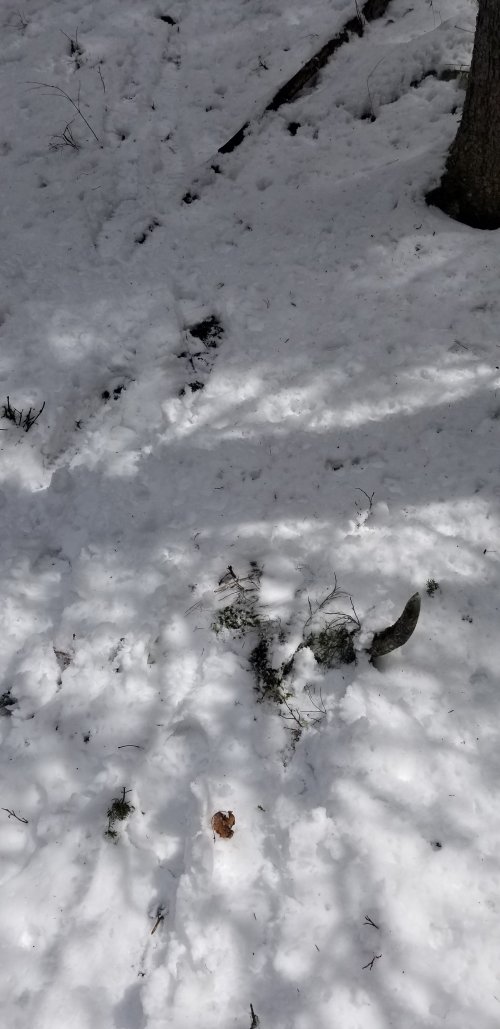 20220416_134829.jpg 20220416_134829.jpg