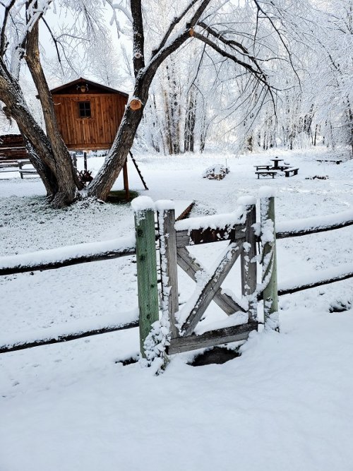 snowy gate.jpg