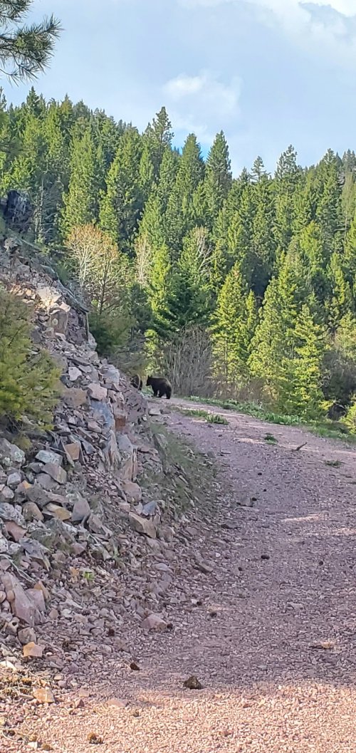 20220510_171002.jpg