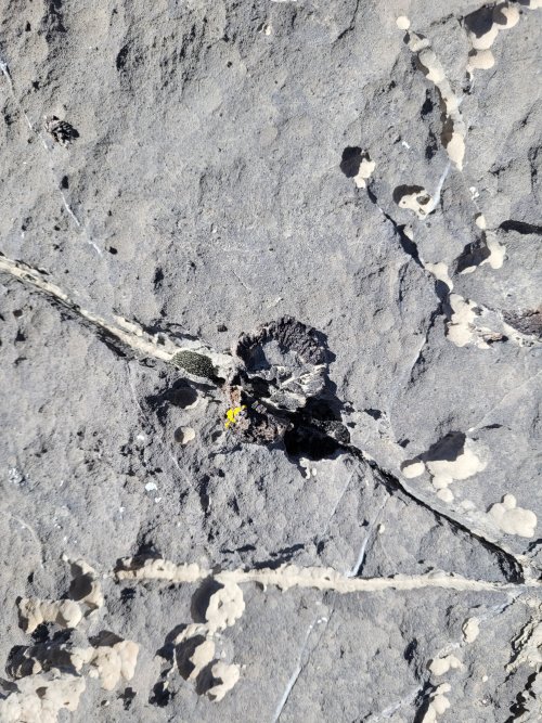 20220510_102554.jpg