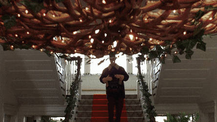 1653008324826.gif