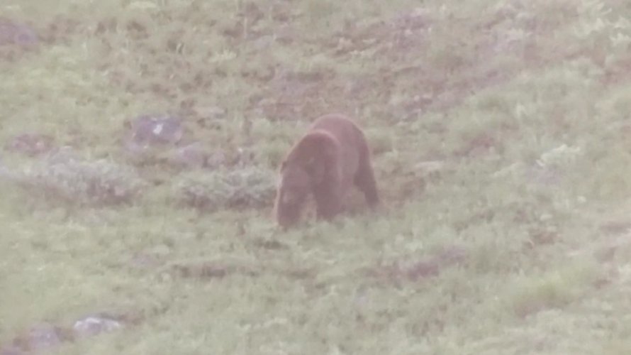 20220521_192710.jpg 20220521_192710.jpg