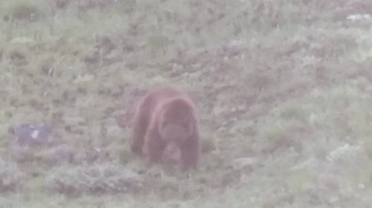 20220521_192600.jpg 20220521_192600.jpg