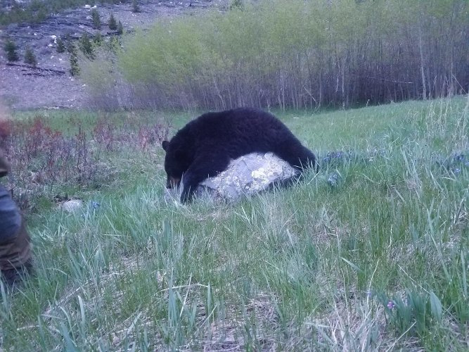 20180522_204621.jpg 20180522_204621.jpg