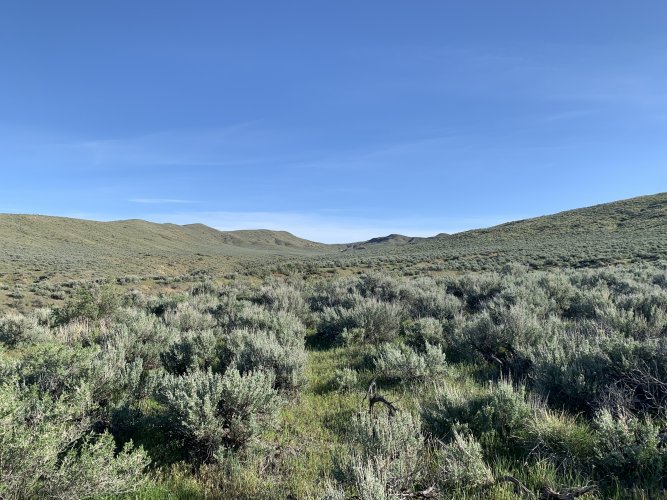 F3B444B7-300F-4E03-8B6D-FE678400EA60.jpeg F3B444B7-300F-4E03-8B6D-FE678400EA60.jpeg