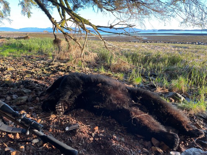 1D3D8EBF-F709-41C5-B656-B943EA68E9D2.JPG 1D3D8EBF-F709-41C5-B656-B943EA68E9D2.JPG