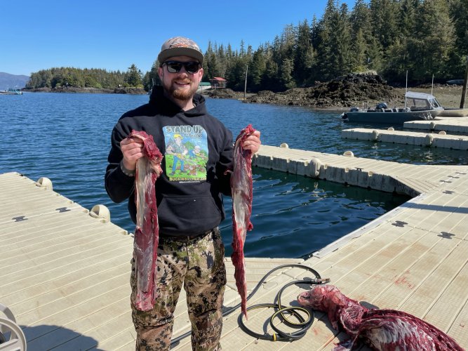 37D4EC00-F3F8-47FF-B450-7FD432F6CBD2.JPG 37D4EC00-F3F8-47FF-B450-7FD432F6CBD2.JPG