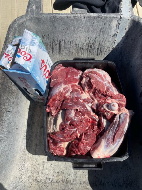 41579CFA-E7DB-4AA4-AA3A-1CDE413135EB.JPG 41579CFA-E7DB-4AA4-AA3A-1CDE413135EB.JPG