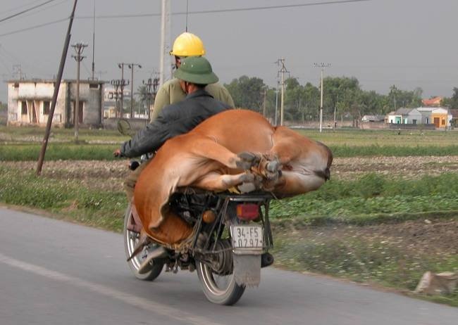 0cd1da2388c4f7e426d2aff7334a8515--cargo-the-road.jpg 0cd1da2388c4f7e426d2aff7334a8515--cargo-the-road.jpg