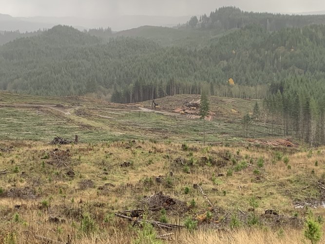 B9A9EA02-9DB8-4FE8-9E25-7121C5D46655.jpeg B9A9EA02-9DB8-4FE8-9E25-7121C5D46655.jpeg