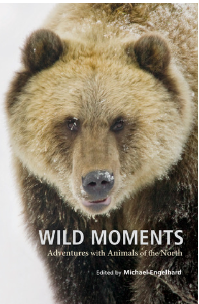 WILD_MOMENTS.png WILD_MOMENTS.png