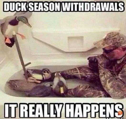 E0A99AEC-6AAF-470F-9440-D46110DDB437.jpeg E0A99AEC-6AAF-470F-9440-D46110DDB437.jpeg