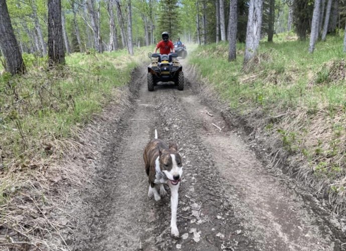 Boys ATV ride 9.jpg