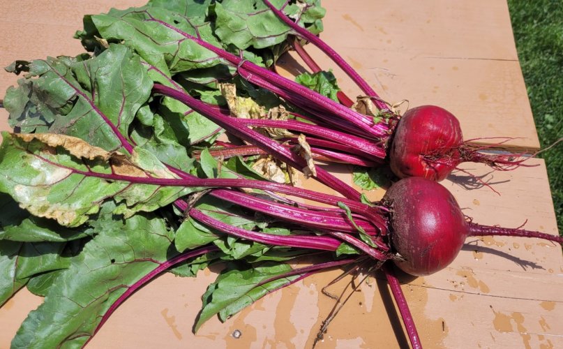 beets.jpg