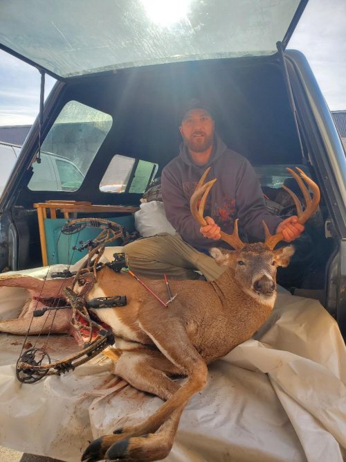 2021 deer.jpg