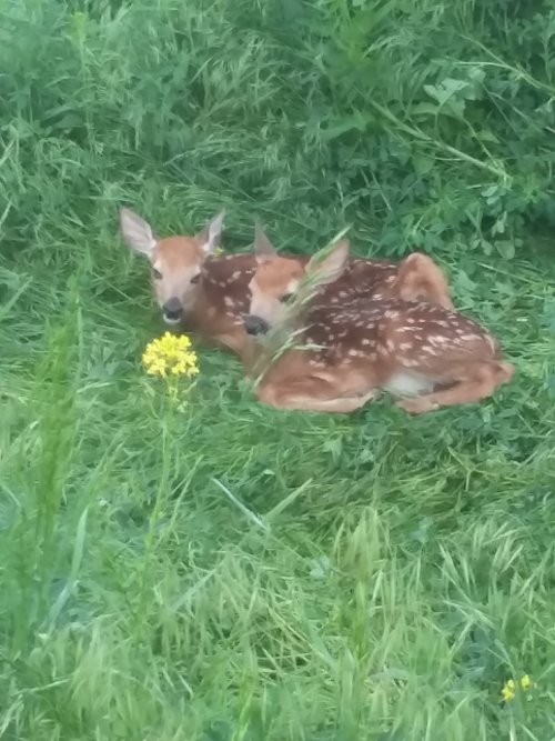 20220609_075510.jpg 20220609_075510.jpg