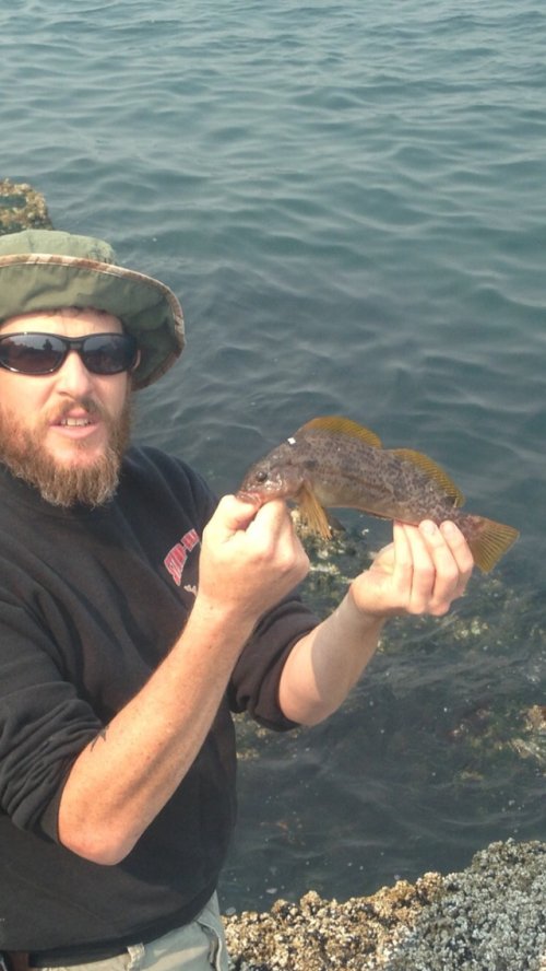 72E66B41-A01F-4285-AAF2-CF7829B7E5C3.jpeg 72E66B41-A01F-4285-AAF2-CF7829B7E5C3.jpeg