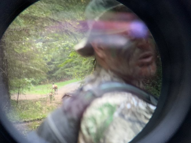 50DFB2D4-F8D8-4329-BC96-E87B792637E3.jpeg 50DFB2D4-F8D8-4329-BC96-E87B792637E3.jpeg