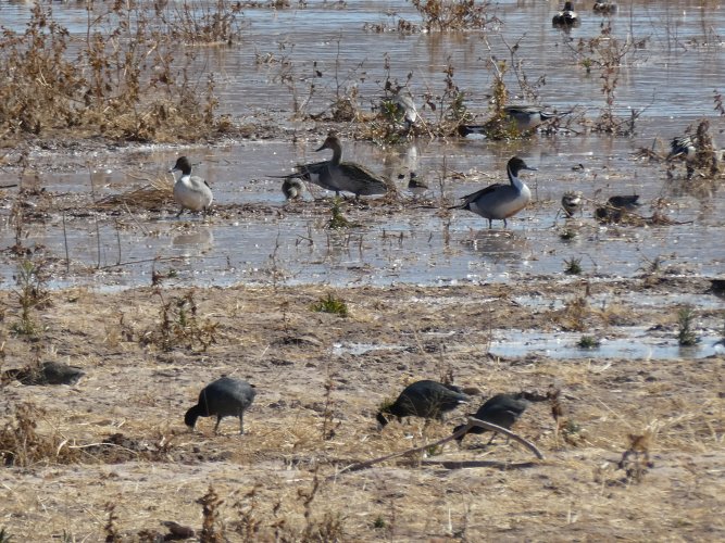 P1000274.JPG P1000274.JPG