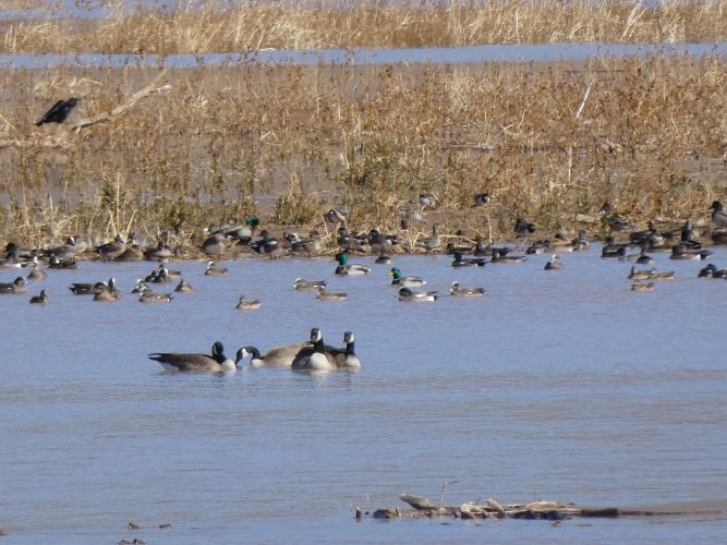 P1000283.JPG P1000283.JPG