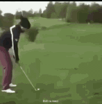 ResizedP_16552586823548573649835457111457_1565143940597005.gif