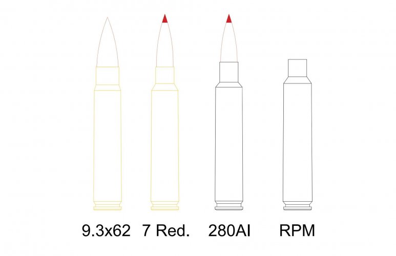 f Model (1).jpg