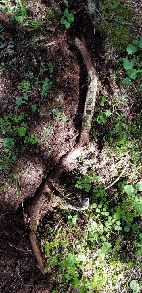 20220618_163247.jpg 20220618_163247.jpg