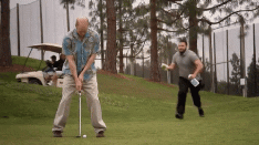 ResizedP_16560207322024067295890339814248_279676469459508.gif