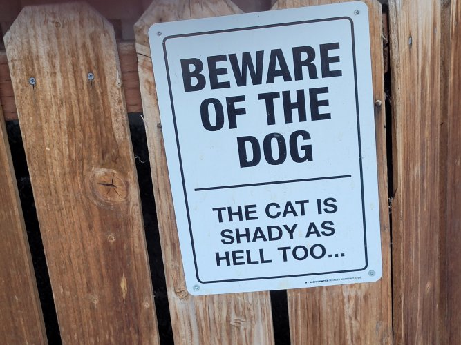 beware of dog.jpg