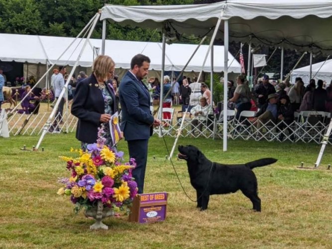 fabian-negron-and-beau-the-labrador-retriever.jpg fabian-negron-and-beau-the-labrador-retriever.jpg