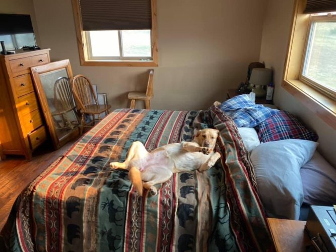 D32FE071-548D-4E24-A5F9-9D28834C2F6A.jpeg D32FE071-548D-4E24-A5F9-9D28834C2F6A.jpeg