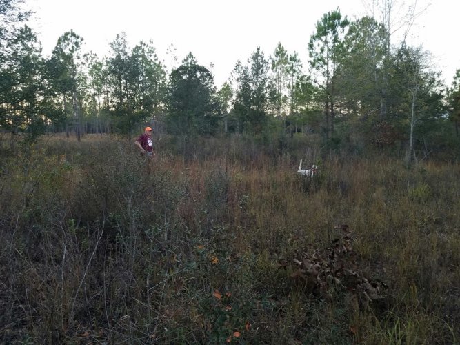 C7AEF7A1-9ED0-4C70-8D9A-3214A579BC56_1_105_c.jpeg C7AEF7A1-9ED0-4C70-8D9A-3214A579BC56_1_105_c.jpeg