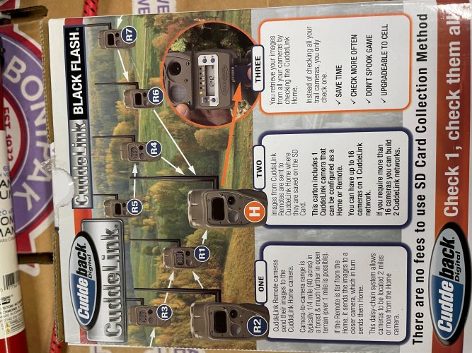 jeff 4.jpg jeff 4.jpg