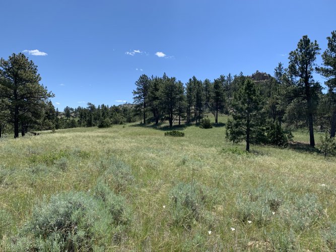 A4A50CC2-CD11-49C7-BDD3-43DA8C7E2994.jpeg A4A50CC2-CD11-49C7-BDD3-43DA8C7E2994.jpeg