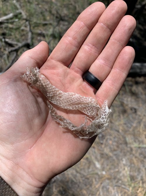 791C27C3-D95A-48DB-8808-8677B857E6F5.jpeg 791C27C3-D95A-48DB-8808-8677B857E6F5.jpeg