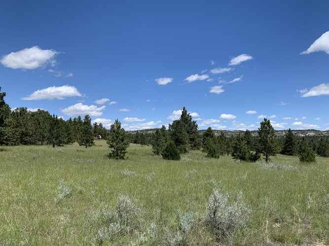 5259352D-0B6D-4FEA-B843-140585C860EA.jpeg 5259352D-0B6D-4FEA-B843-140585C860EA.jpeg