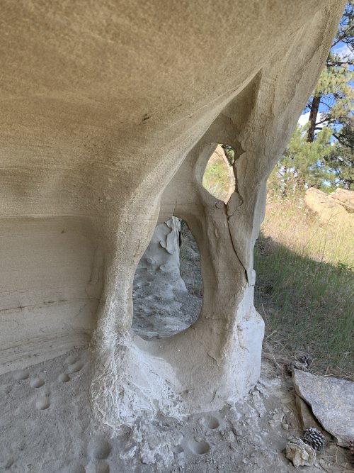 A11818BA-FE8D-4687-A22F-44C7566C7554.jpeg A11818BA-FE8D-4687-A22F-44C7566C7554.jpeg