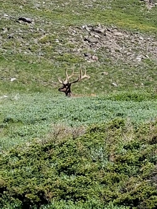 20210707_094329.jpg