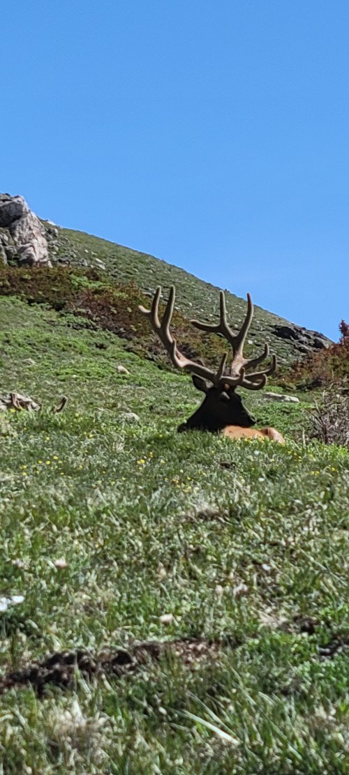 20210707_094408.jpg