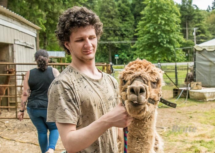 Alpaca Shearing July 2022 a-9529.JPG