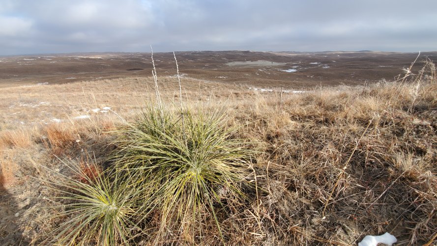 20200108_095236.jpg 20200108_095236.jpg