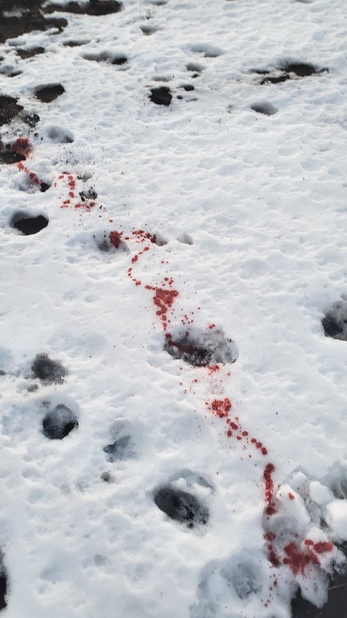 20200105_173714.jpg 20200105_173714.jpg