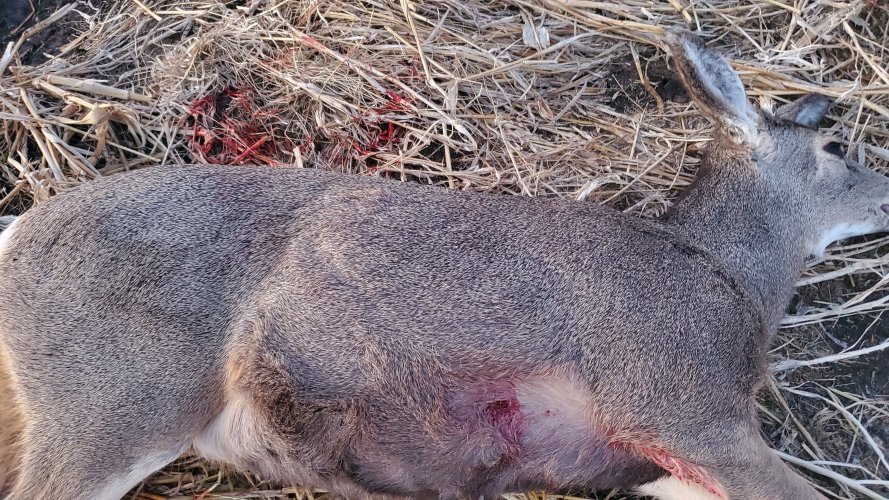 20200105_173931.jpg 20200105_173931.jpg