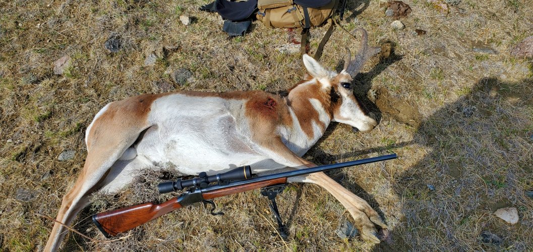 20200927_092714.jpg 20200927_092714.jpg